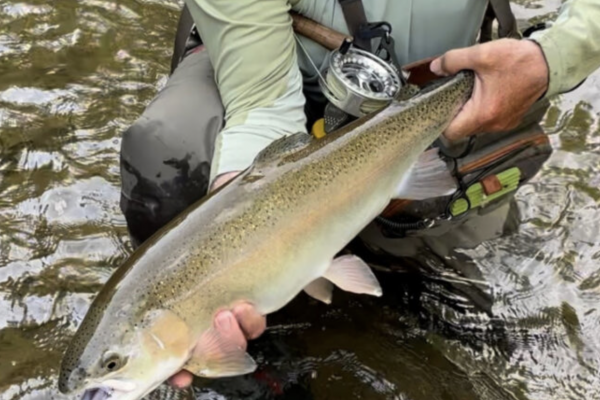 Screenshot 2025-10-18 at 12.56.39 AM